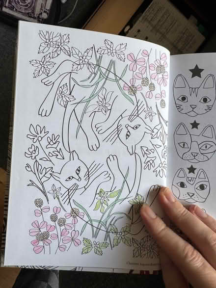 Photo of free Cat colouring book tiny bit used (Wisewood S6) #4