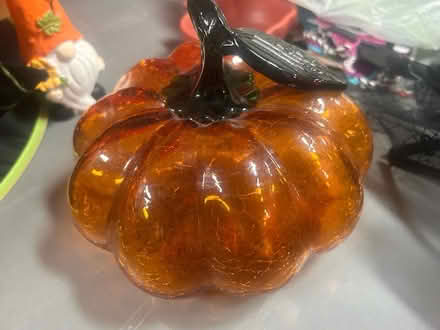 Photo of free Halloween items (Pineview Gloucester) #2