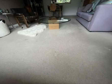 Photo of free Huge Roll Beige Wool Carpet (Kentish Town West, NW5) #4