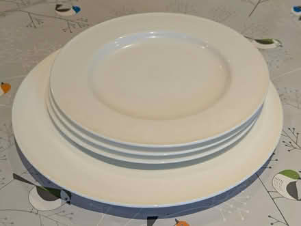 Photo of free One large, three small plates (Upton Park E7) #1