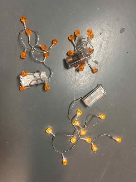 Photo of free Halloween items (Pineview Gloucester) #4