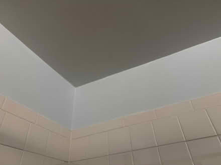 Photo of free 1 gallon of designer paint (Murray Hill near the UN) #4