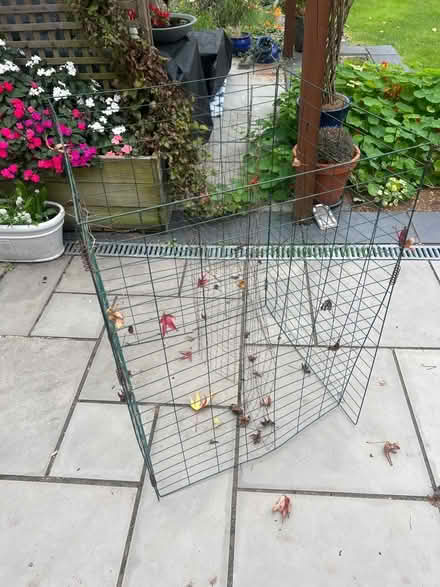 Photo of free Leaf cage (Lower Earley RG6) #2