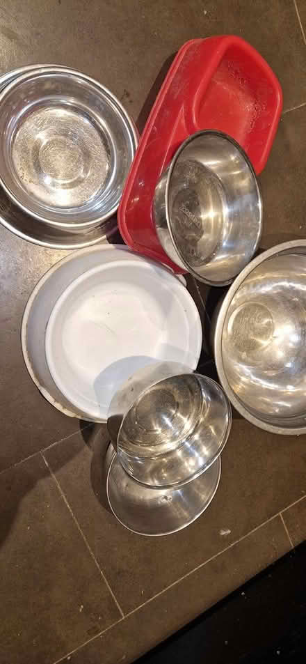 Photo of free Dog bowls (Booterstown) #1
