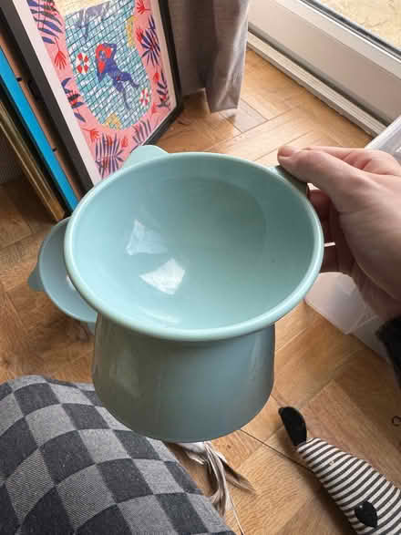 Photo of free Raised cat food bowls (4) (Wisewood S6) #1