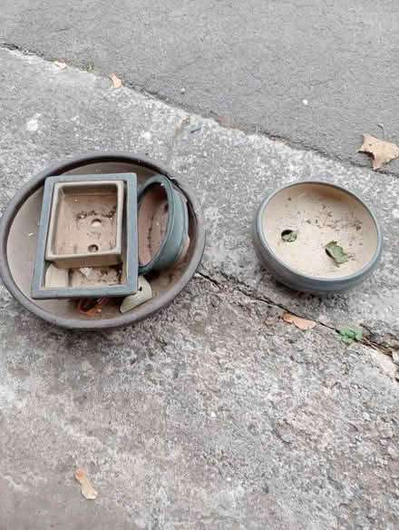 Photo of free Bonsai pots (Dovecote BS37) #1