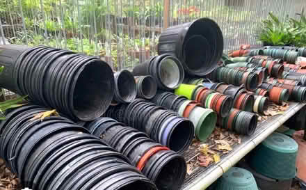 Photo of plastic plant pots (Shawbirch TF1) #1