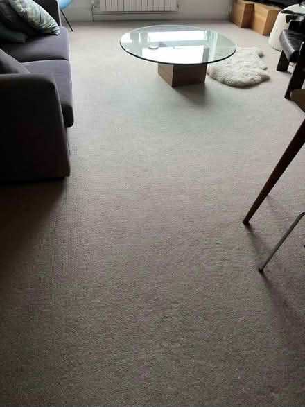 Photo of free Huge Roll Beige Wool Carpet (Kentish Town West, NW5) #2