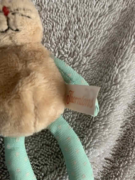 Photo of free Bunny with clip (High Wycombe HP13) #2