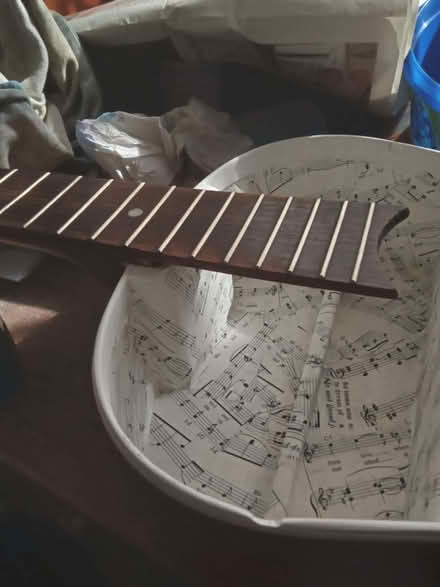 Photo of or broken guitars/instruments (Brigg DN20) #1