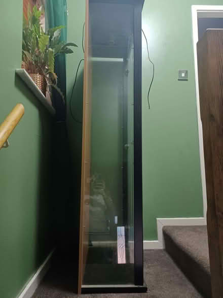 Photo of free Glass cabinet (Birch Green WN8) #2