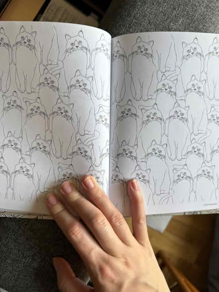 Photo of free Cat colouring book tiny bit used (Wisewood S6) #2