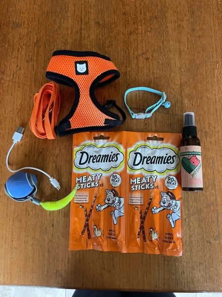 Photo of free Cat/ kitten bundle (Bare LA4) #1