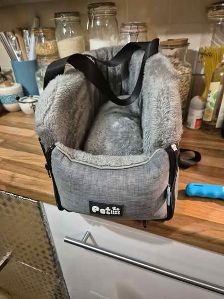 Photo of free Cat or dog carrier (Rm3 0gd) #1