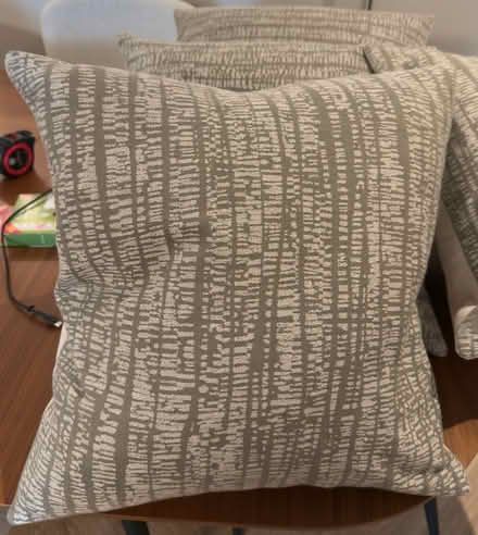 Photo of free 5 duck feather Cushions 50cmX50 cm (E14 Narrow street) #2