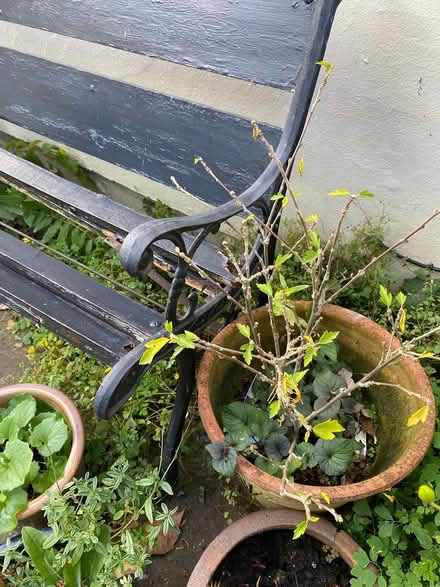 Photo of free Old bench (YO61 helperby) #2