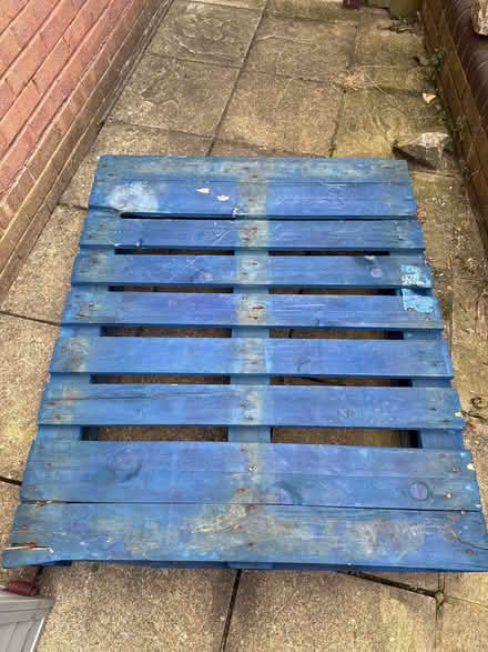 Photo of free One Blue Chep Pallet (Lords Wood ME5) #2