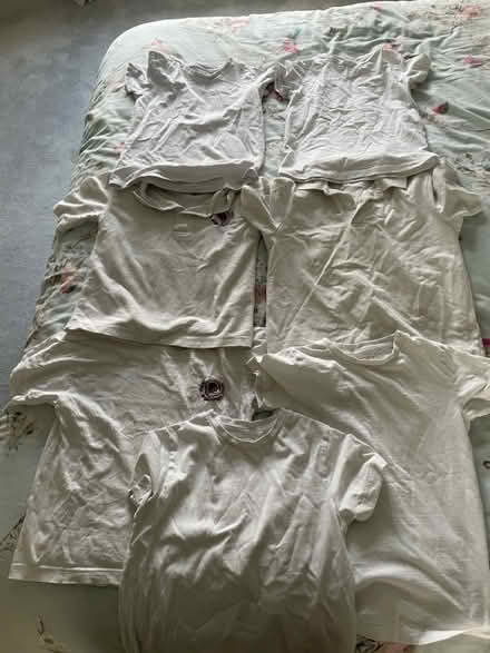 Photo of free Kings Langley primary t shirts (WD4) #1