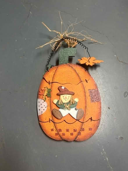 Photo of free Halloween items (Pineview Gloucester) #3