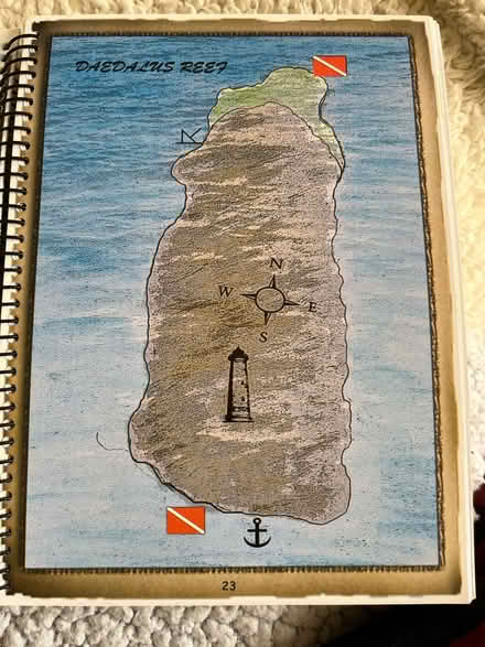 Photo of free Red Sea dive guide (NW10) #4