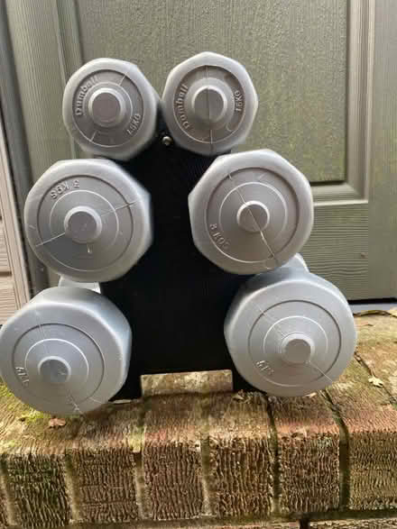 Photo of free Set of 3 pairs of weights on a stand (Bagillt CH6) #1
