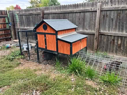 Photo of free Chickens + Coop & feed (East Morrison near Home Depot) #2