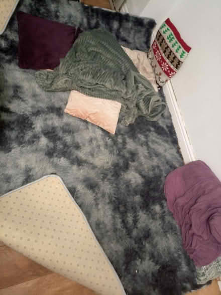 Photo of free Carpet / rug with 2 pillow case (Coseley WV14) #2