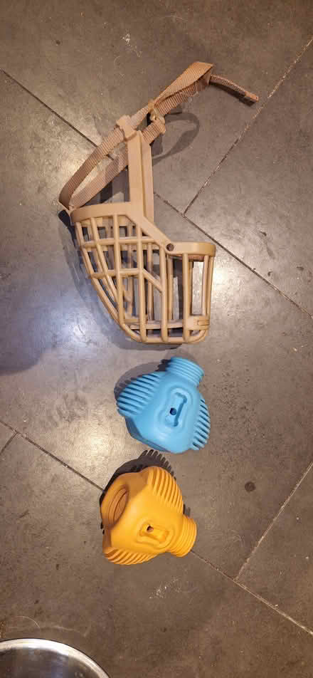 Photo of free Dog muzzle and toys (Booterstown) #1