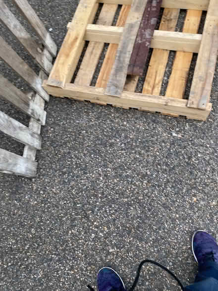 Photo of free Wooden Palettes (E18) #1