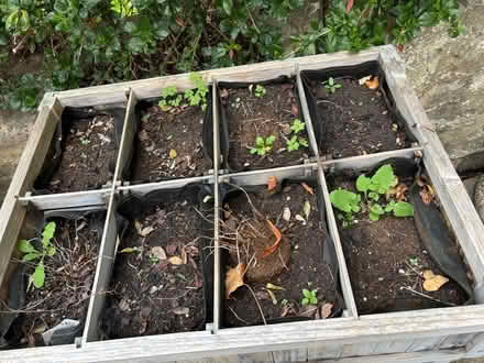 Photo of free Herb planter (Widcombe) #2