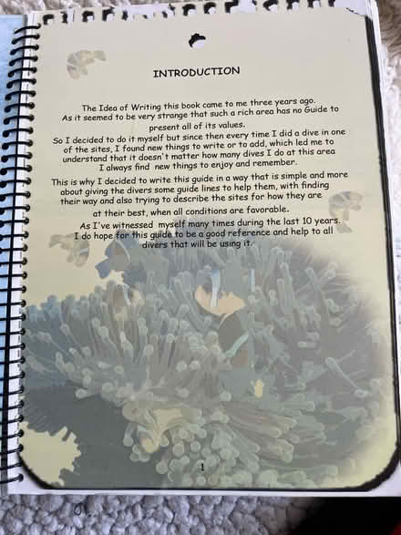 Photo of free Red Sea dive guide (NW10) #2