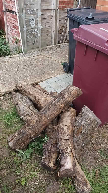 Photo of free Seasoned logs (South reading RG2) #1