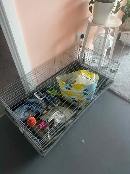 Photo of free Rabbit/guinea Pig cage (Kidbrooke SE3 9SU) #2