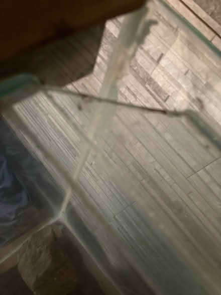 Photo of free Aquarium/vivarium (Freckleton PR4) #3