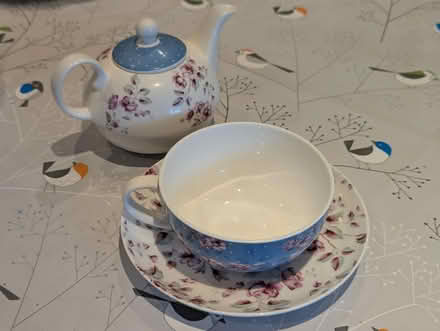 Photo of free Tea pot/cup combo (Upton Park E7) #2
