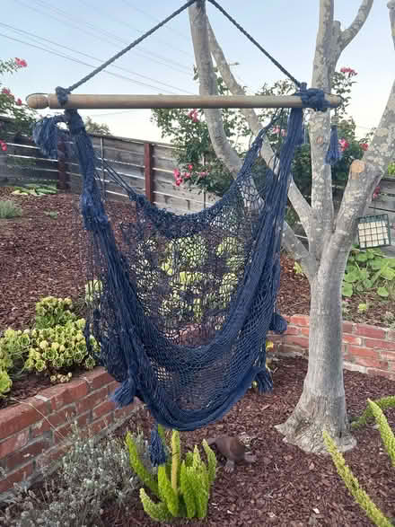 Photo of free Hammock chair (Aptos - Trout Gulch) #1