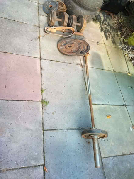 Photo of free Rusty weights and bar and belt (Allerton L15) #1