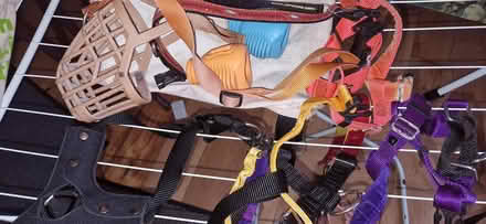 Photo of free Selection of dog leads and collars (Booterstown) #1