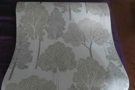 Photo of free Tree pattern wallpaper (Hope Valley, nr Minsterley SY5) #1
