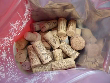 Photo of free Corks (Nailsworth) #1