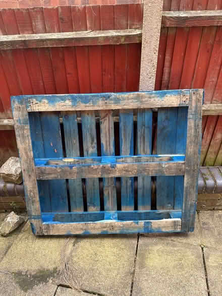 Photo of free One Blue Chep Pallet (Lords Wood ME5) #1