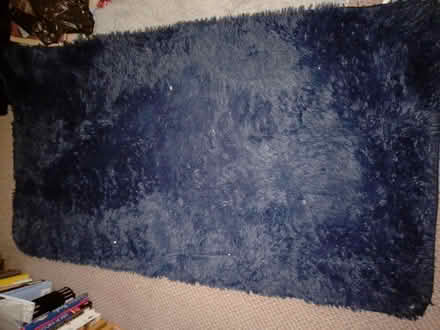 Photo of free Rug (Oxgangs EH13) #1
