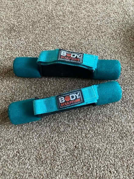 Photo of free A pair of small light weights (Bagillt CH6) #1