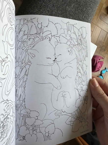 Photo of free Cat colouring book tiny bit used (Wisewood S6) #3
