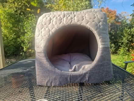Photo of free New unused cat bed (Acton W3) #1