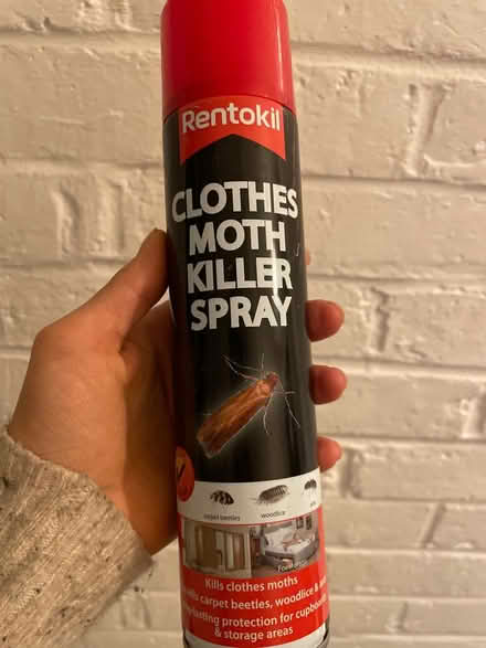 Photo of free Spider killer and wasp killer spray (Finsbury park) #2