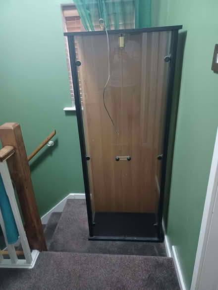 Photo of free Glass cabinet (Birch Green WN8) #1