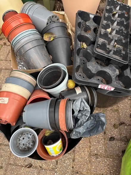 Photo of free Plant pots (Littleham) #1