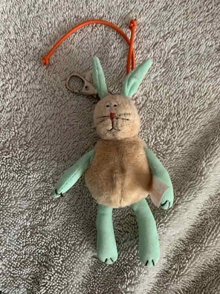 Photo of free Bunny with clip (High Wycombe HP13) #1