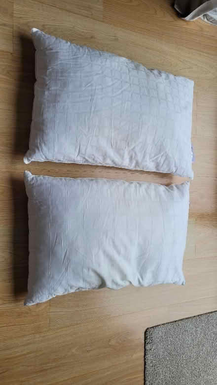 Photo of free 2 pillows (Dursley GL11) #1
